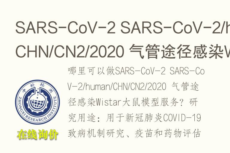 气管途径感染Wistar大鼠<font color='red'>模型</font>
