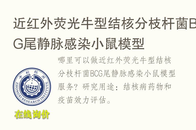 近红外荧光<font color='red'>牛</font>型结核分枝杆菌BCG尾静脉感染小鼠模型
