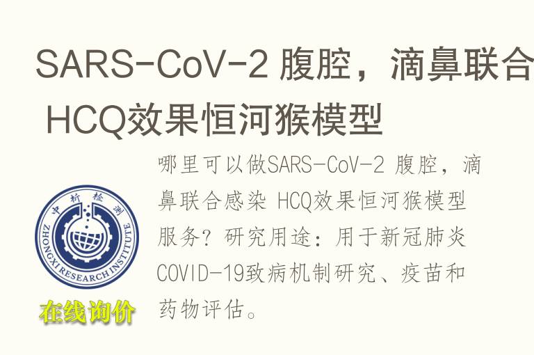 SARS-CoV-2 腹腔，滴鼻联合感染 HCQ效果恒河猴<font color='red'>模型</font>