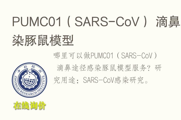 PUMC01（SARS-CoV） 滴鼻途径感染豚鼠<font color='red'>模型</font>