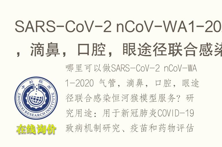 SARS-CoV-2 nCoV-WA1-2020 气管，滴鼻，口腔，眼途径联合感染恒河猴<font color='red'>模型</font>