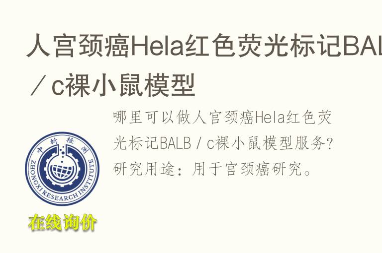 人宫颈癌<font color='red'>He</font>la红色荧光标记BALB／c裸小鼠模型