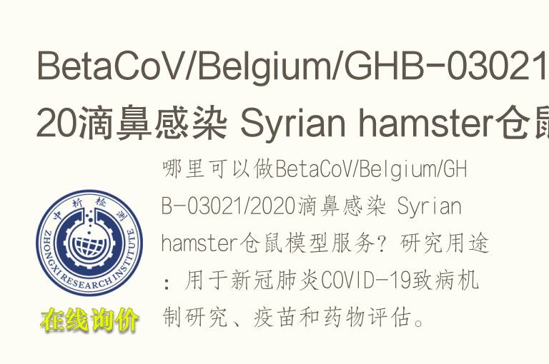 BetaCoV/Bel<font color='red'>gi</font>um/GHB-03021/2020滴鼻感染 Syrian hamster仓鼠模型