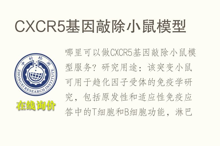 CXCR5基因敲除小鼠<font color='red'>模型</font>
