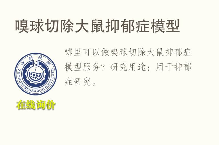 嗅球切除大鼠抑郁症<font color='red'>模型</font>