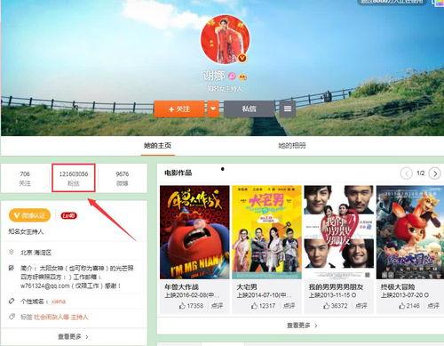 微博明星粉丝排行,揭秘人气王座，流量明星风云变幻！”