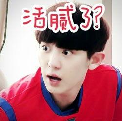 表情包朴灿烈,魅力四溢的微笑，治愈系暖男形象深入人心